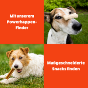 Der Powerhappen-Finder von Wuschelfriends: Maßgeschneiderte Snacks in drei einfachen Schritten