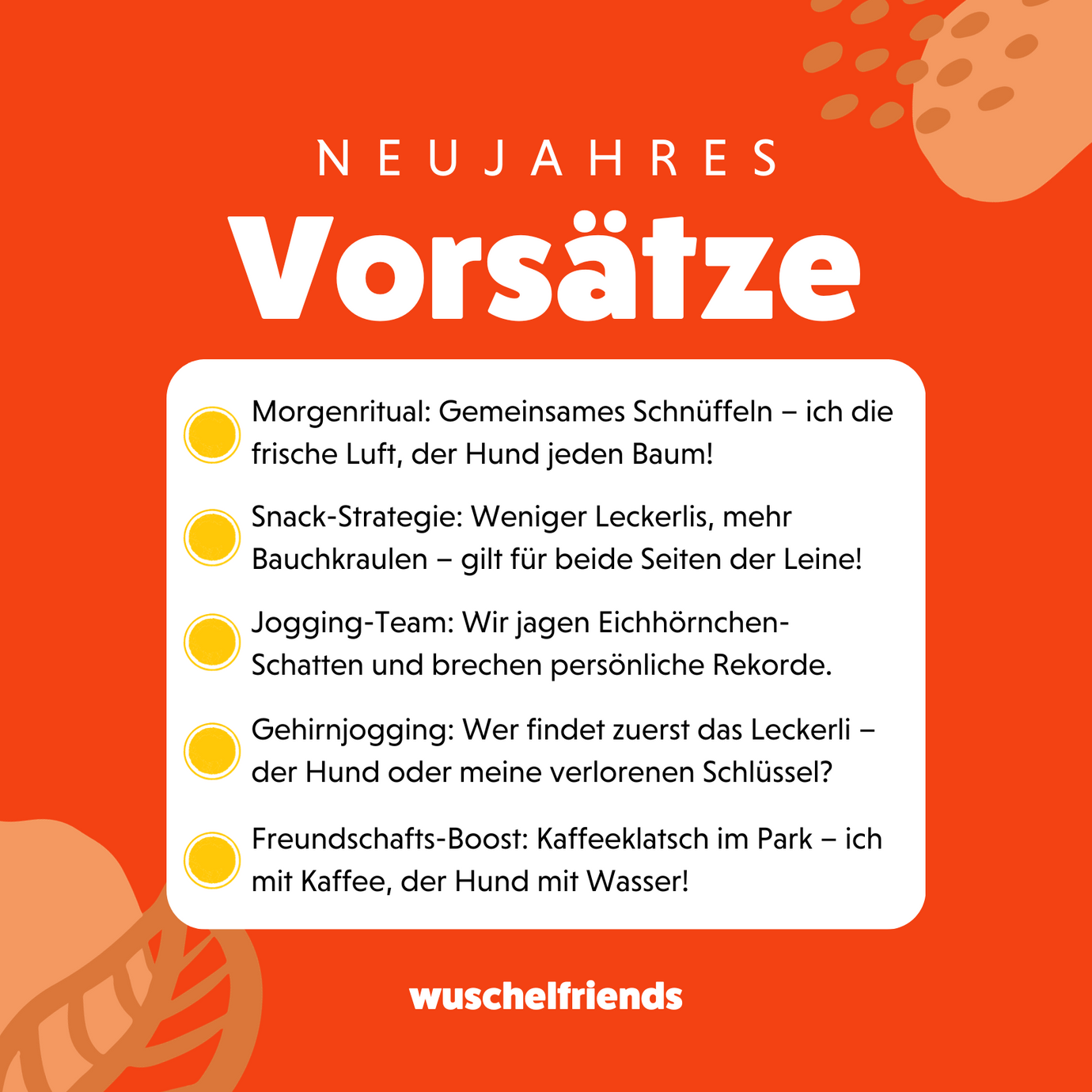 🐾 Jahr der Wuschelfriends: Unsere Top 5 Vorsätze für 2024 🐾