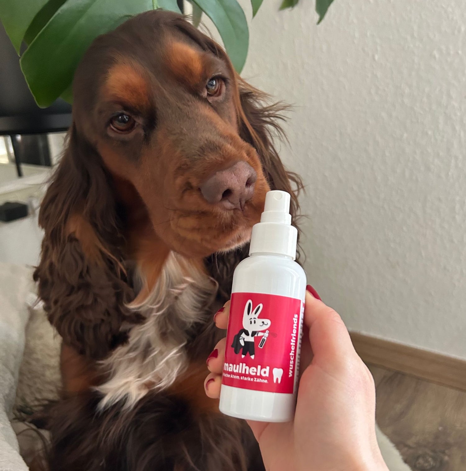 Erfahrungsbericht zu Wuschelfriends Maulheld Dentalspray mit Polly