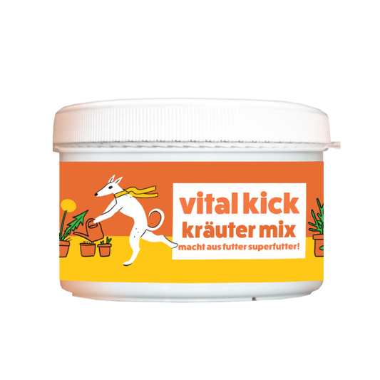 vital kick kräuter mix