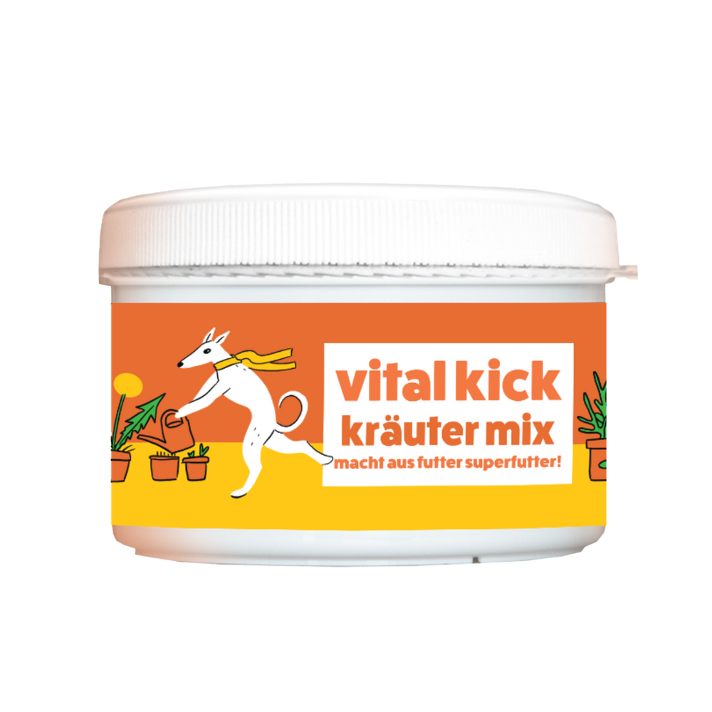 vital kick kräuter mix