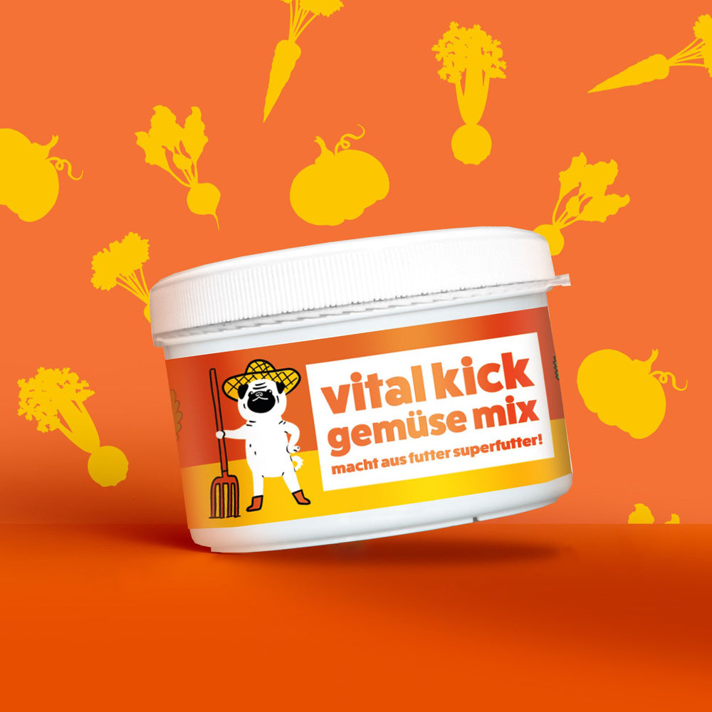 vital kick gemüse mix